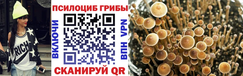 Галлюциногенные грибы прущие грибы  наркотики  Сольцы 